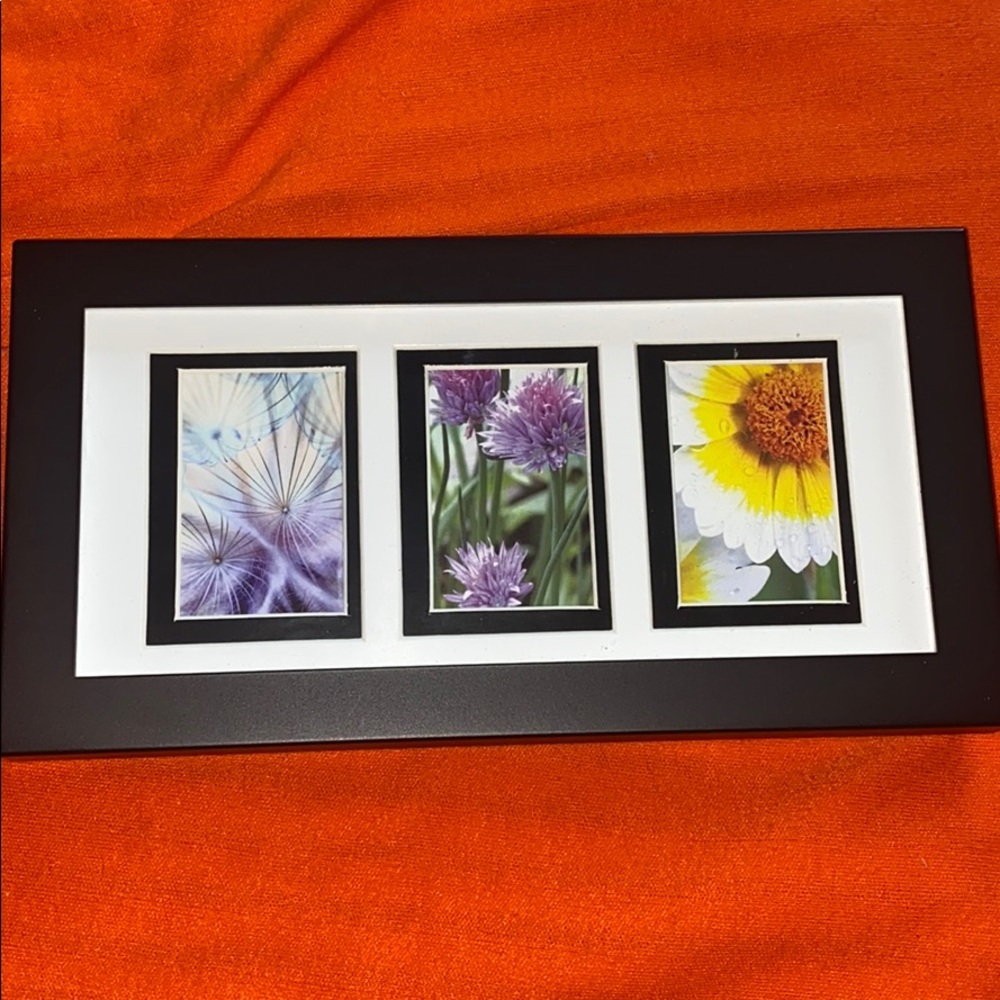 Flower Picture Frame Stand